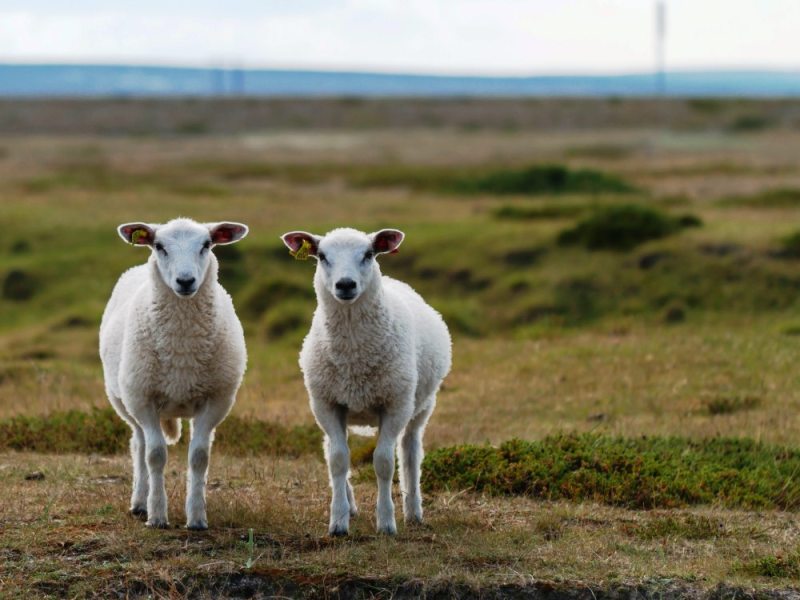 Con la doppia o no? Le parole più&nbsp;insidiose