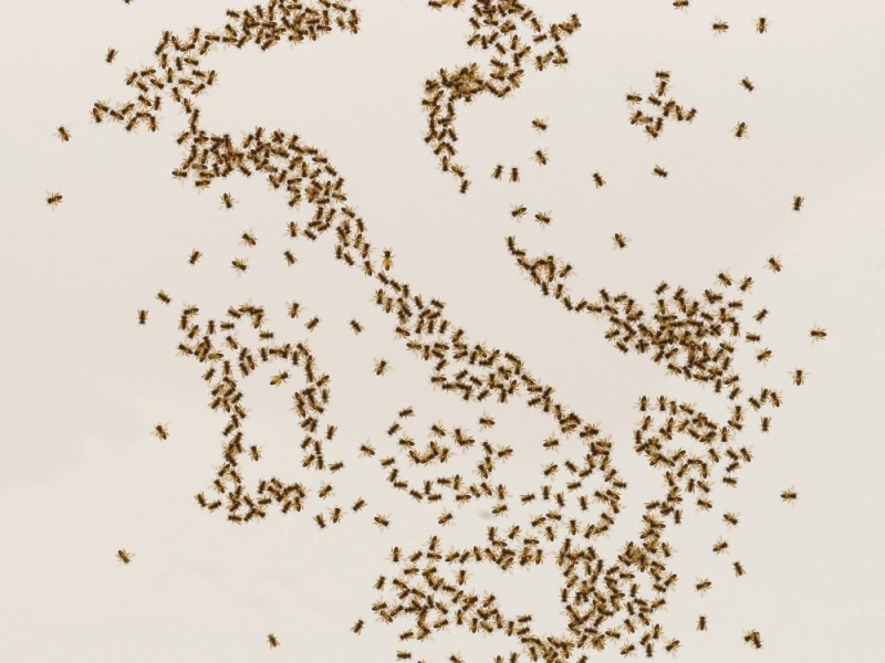 a Lecco #leparolevalgono Festival della lingua&nbsp;italiana