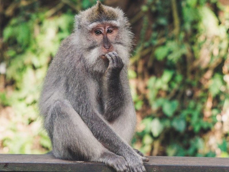 Ansiogeno o ansiolitico? Ecco perché facciamo&nbsp;confusione