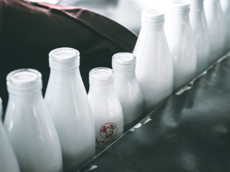 Memoria e linguaggio: i latticini li proteggono negli&nbsp;over65