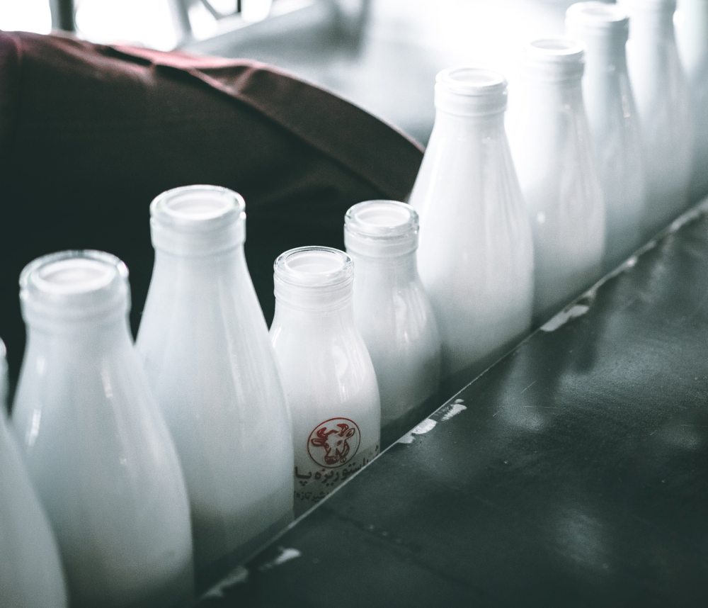 Memoria e linguaggio: i latticini li proteggono negli&nbsp;over65